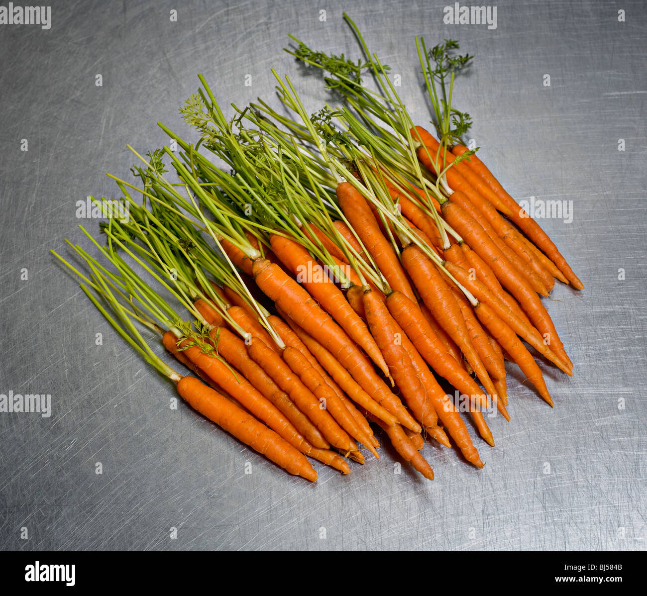 A bunch of fresh carrots Stock Photo Alamy