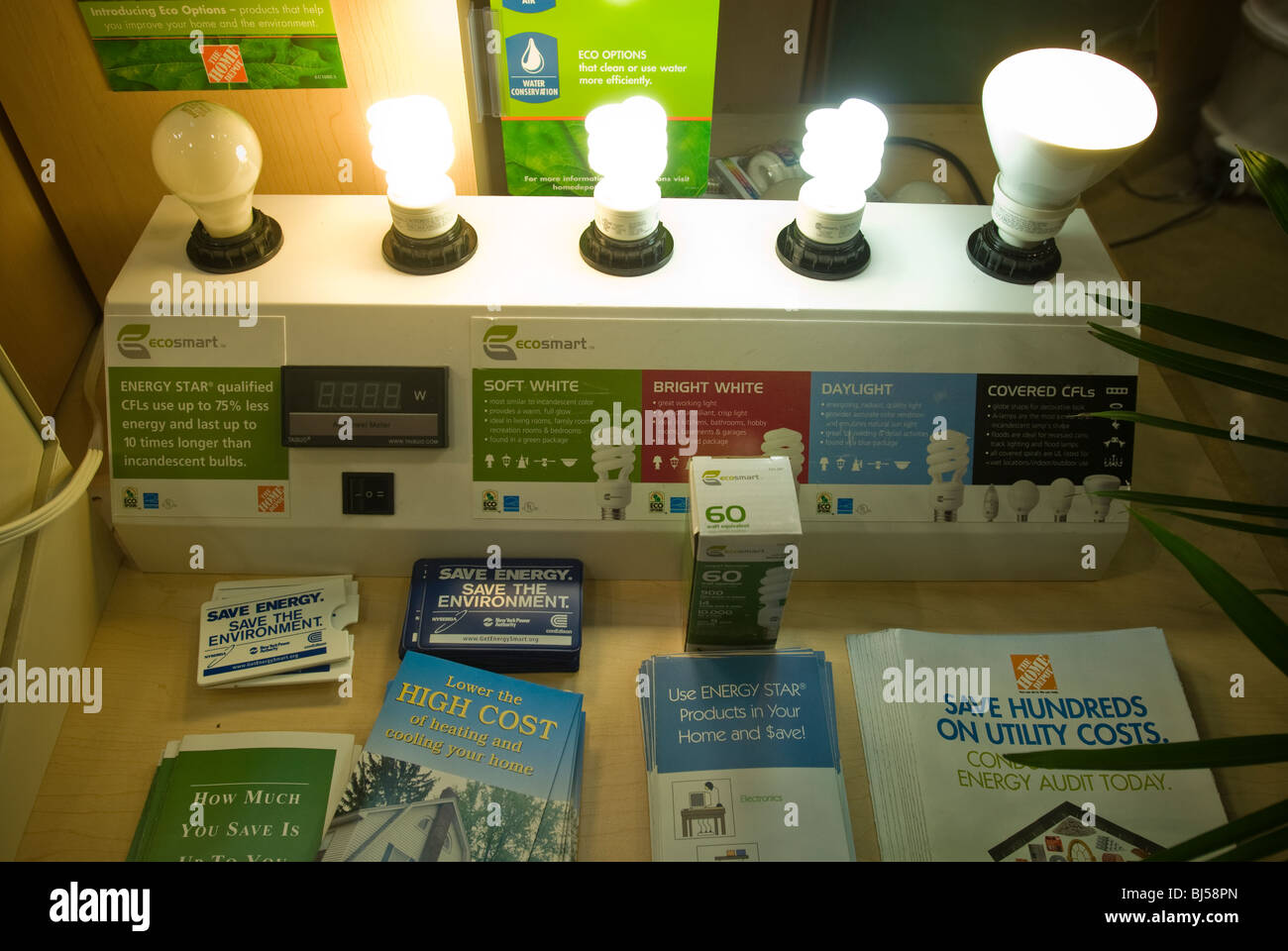 A display of compact fluorescent light bulbs compared to incandescent