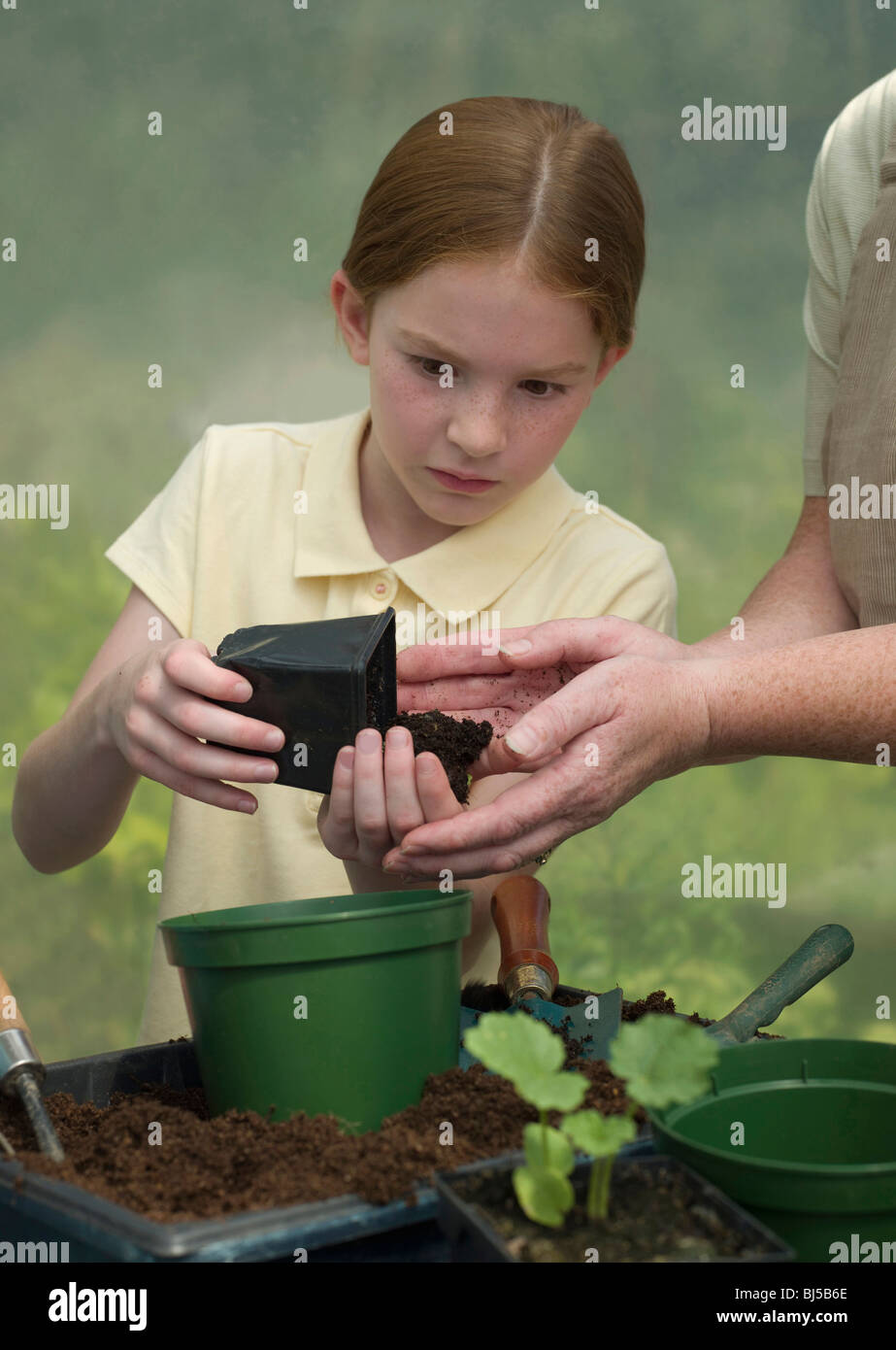 Young girl potting a plant Stock Photo - Alamy