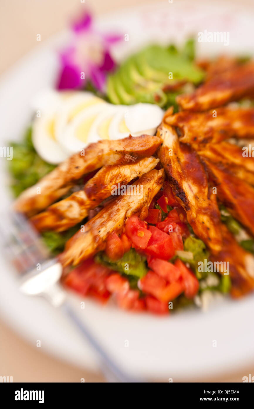 barbecue chicken salad, Holdren's Steaks and Seafood, Goleta, California, United States of America Stock Photo