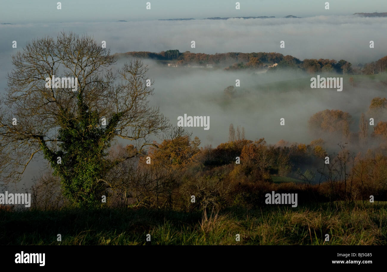 Rot Fog Rising Fog rising hi-res stock photography and images - Alamy