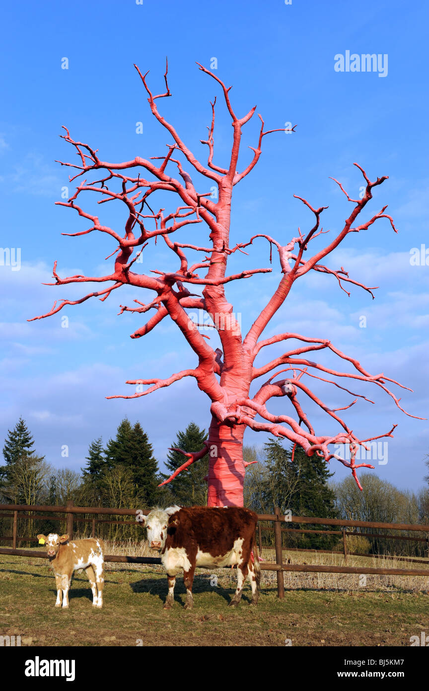 Cow and calf next to a dead tree wrapped and decorated in red cotton by artist Philippa Lawrence Herefordshire England Uk Stock Photo
