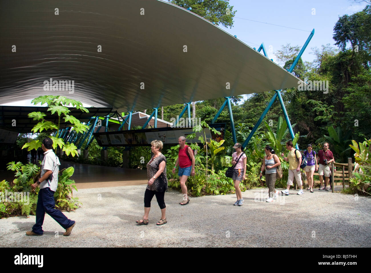 Tourists at the Veragua Rainforest Research and Adventure Park near Limon, Costa Rica. Stock Photo