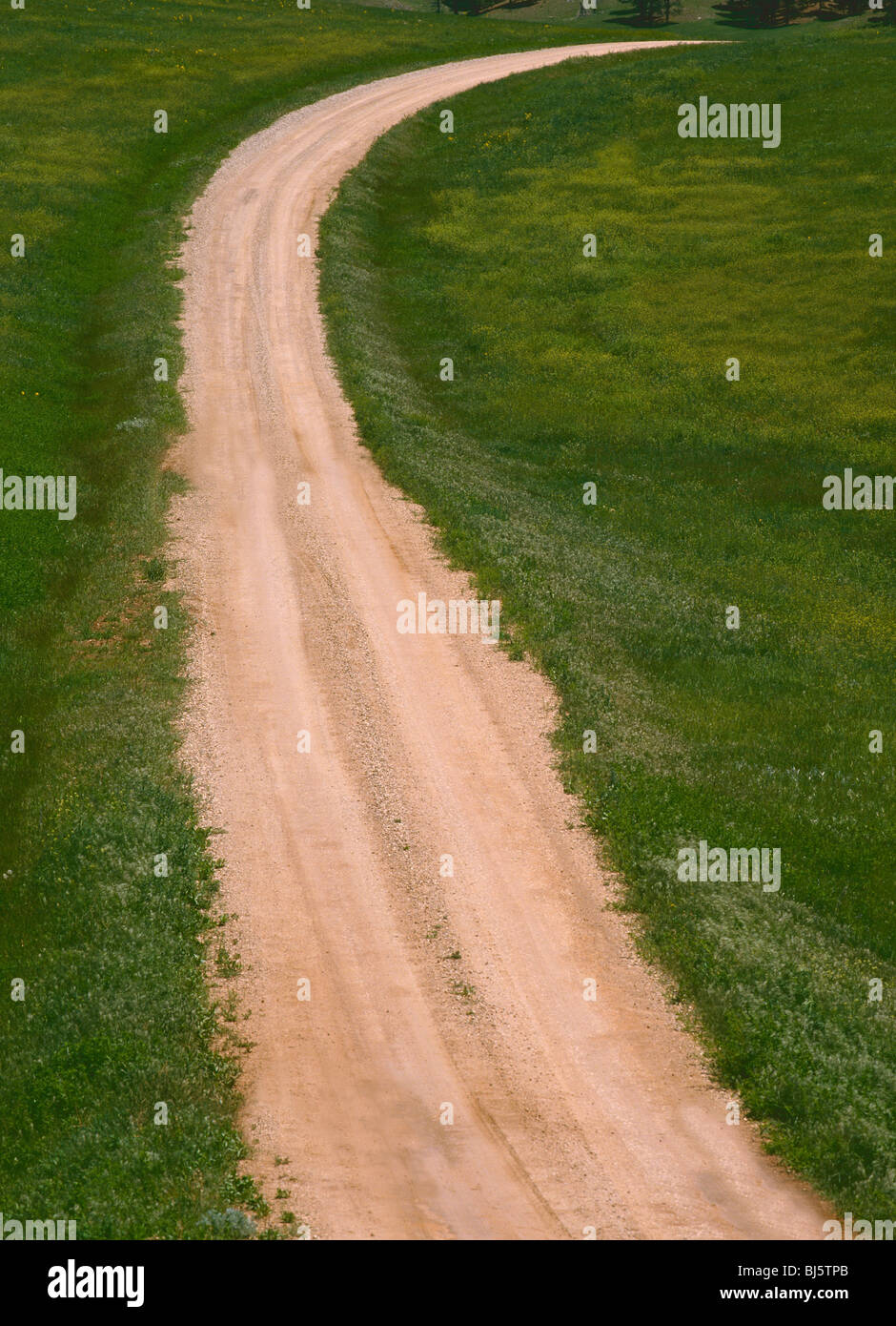 Red dirt road curving through the green prairie grasslands of South