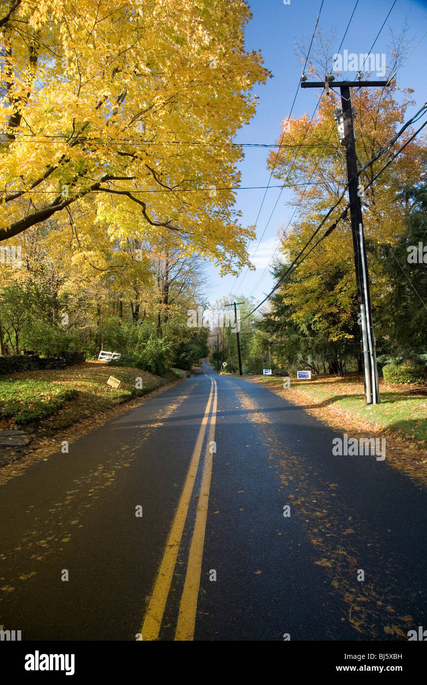 Local road in autumn, Connecticut, United States of America Stock Photo
