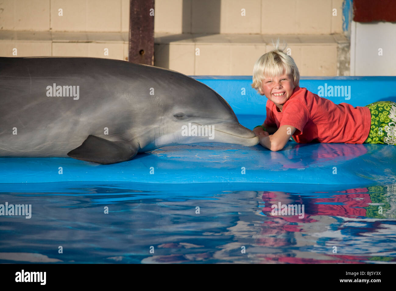 Young boy with a Bottle Nose Dolphin Stock Photo