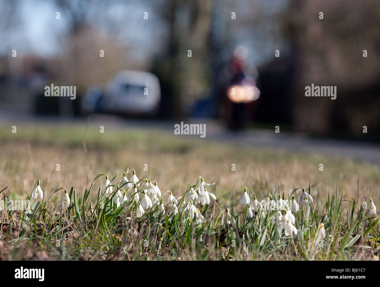 motorcycling in springtime, Cambridgeshire, East Anglia, UK Stock Photo