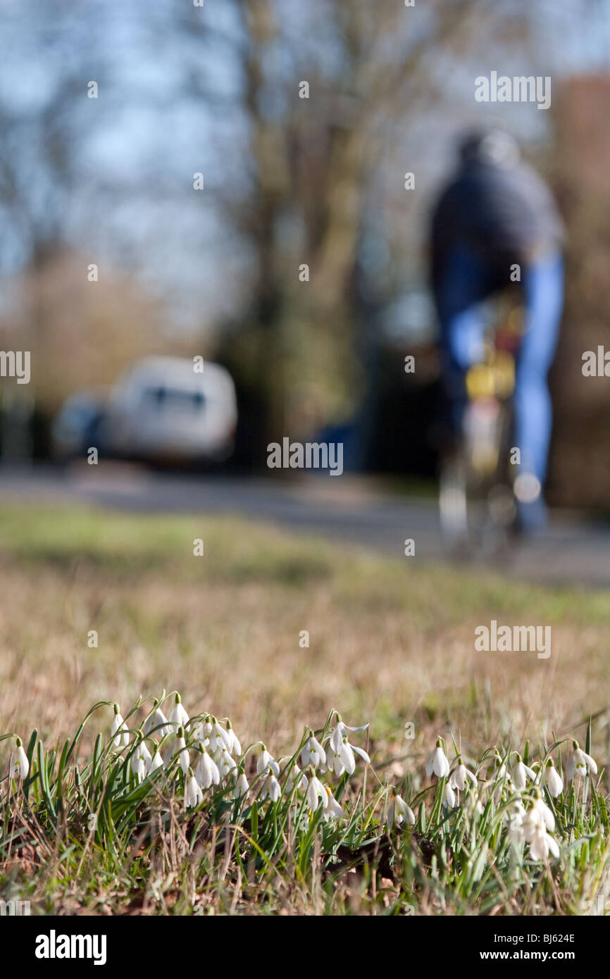 Cycling in springtime, Cambridgeshire, East Anglia, UK Stock Photo