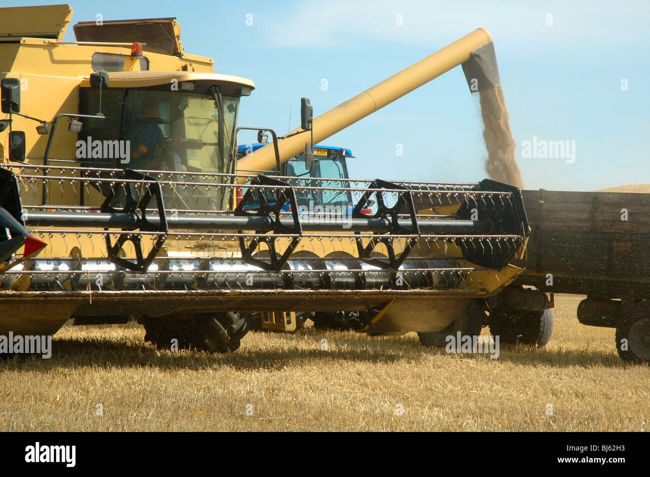 Machine Harvesting The Corn Field Stock Photo Alamy