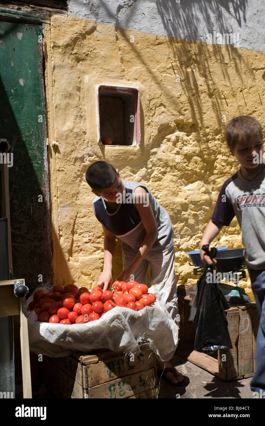Children selling tomatoes in the street, Tetouan, Marocco Stock Photo