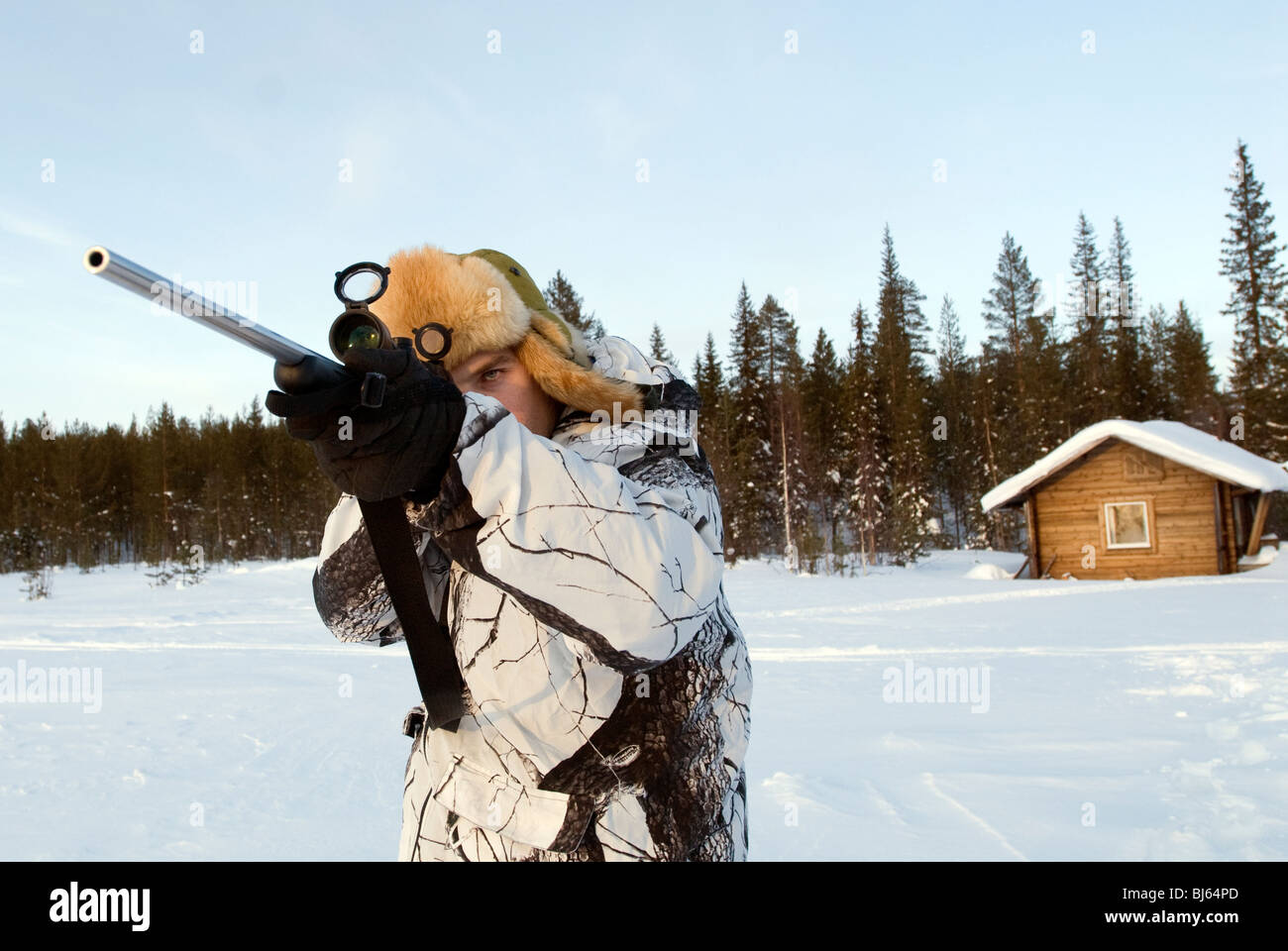 Swedish Hunter Stock Photo