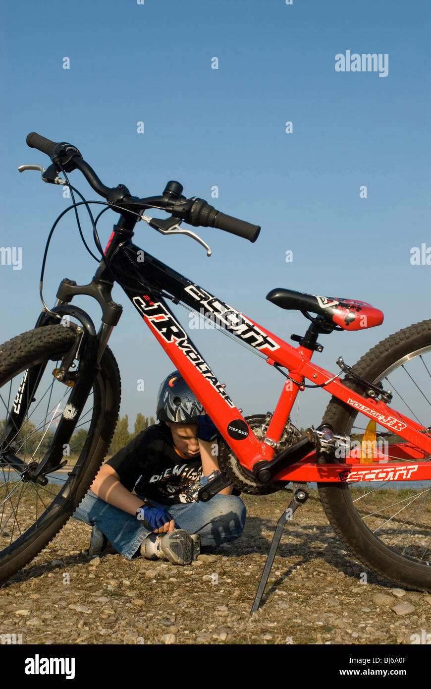 mountain bike of the year