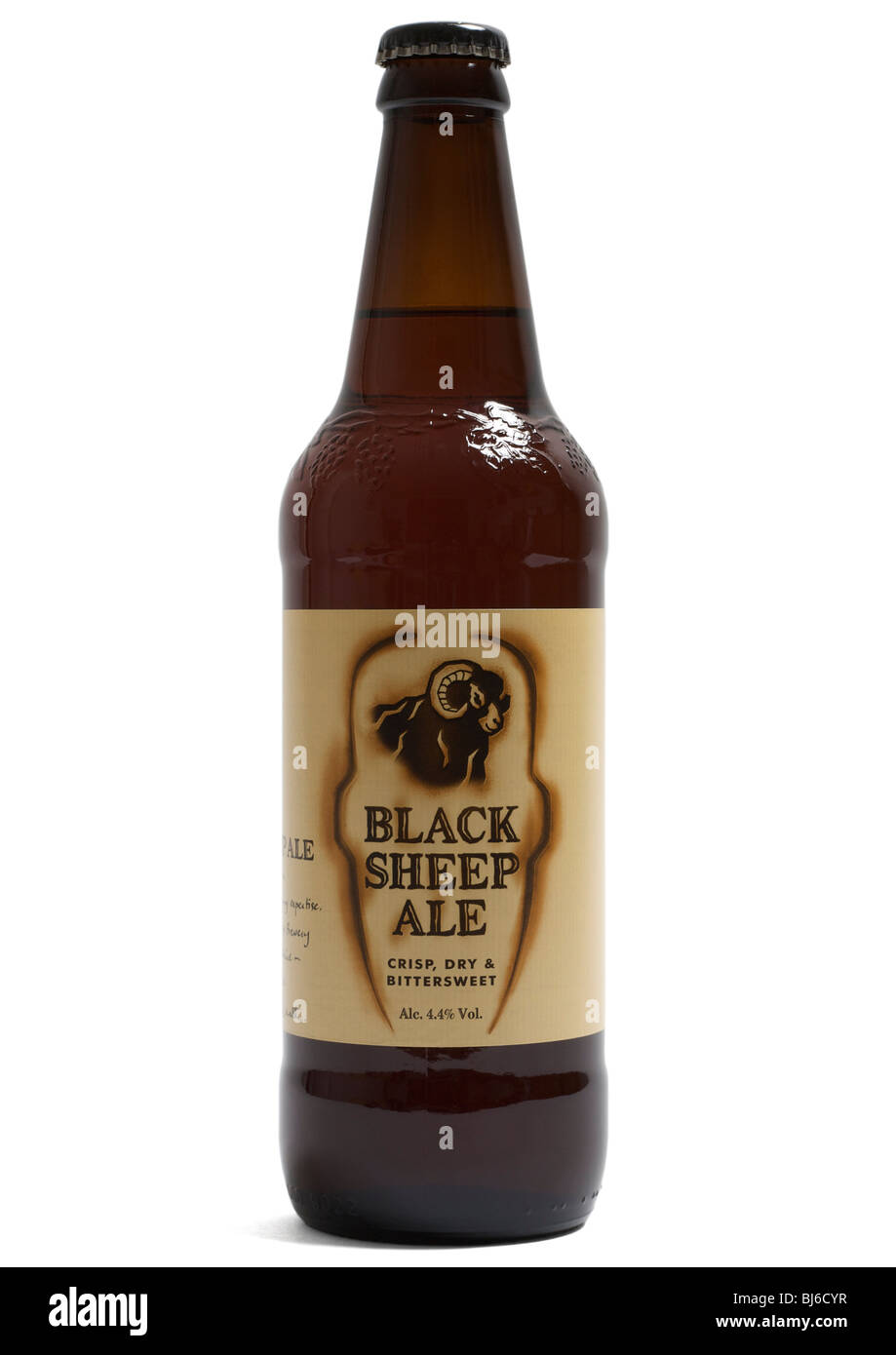 Bottle of black sheep ale on white background Stock Photo