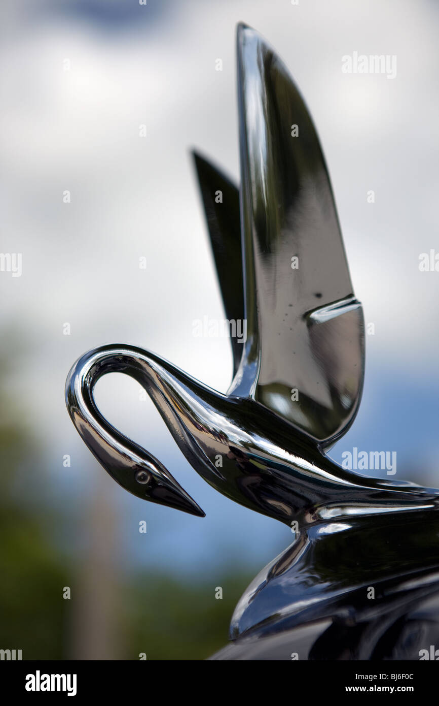 A silver swan car ornament Stock Photo Alamy