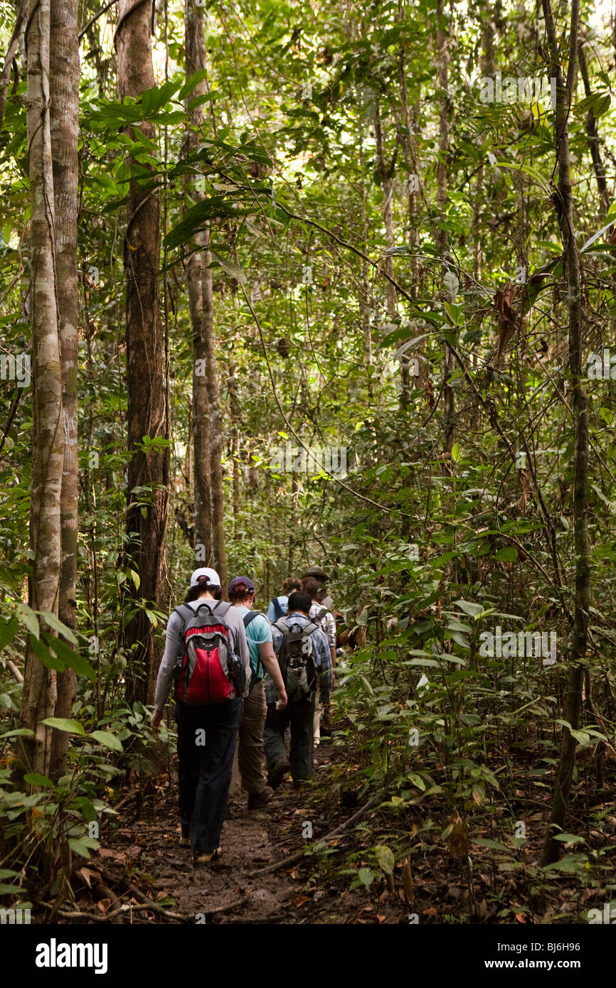 Indonesia, Sulawesi, Operation Wallacea, sixth form students walking through forest on muddy path Stock Photo