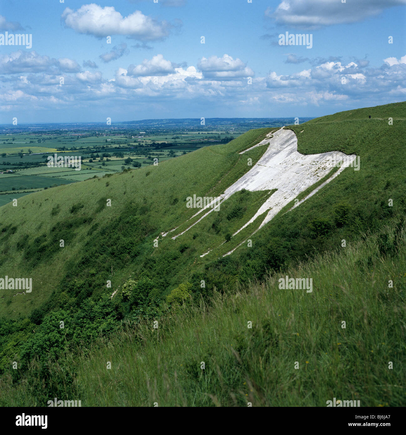 The Westbury White Horse, cut in 1778, below the Iron Age hill - fort of Bratton Castle Stock Photo