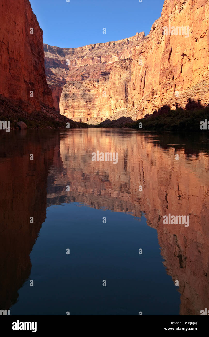 Marble Canyon reflections in the Colorado River in Grand Canyon Stock Photo Alamy