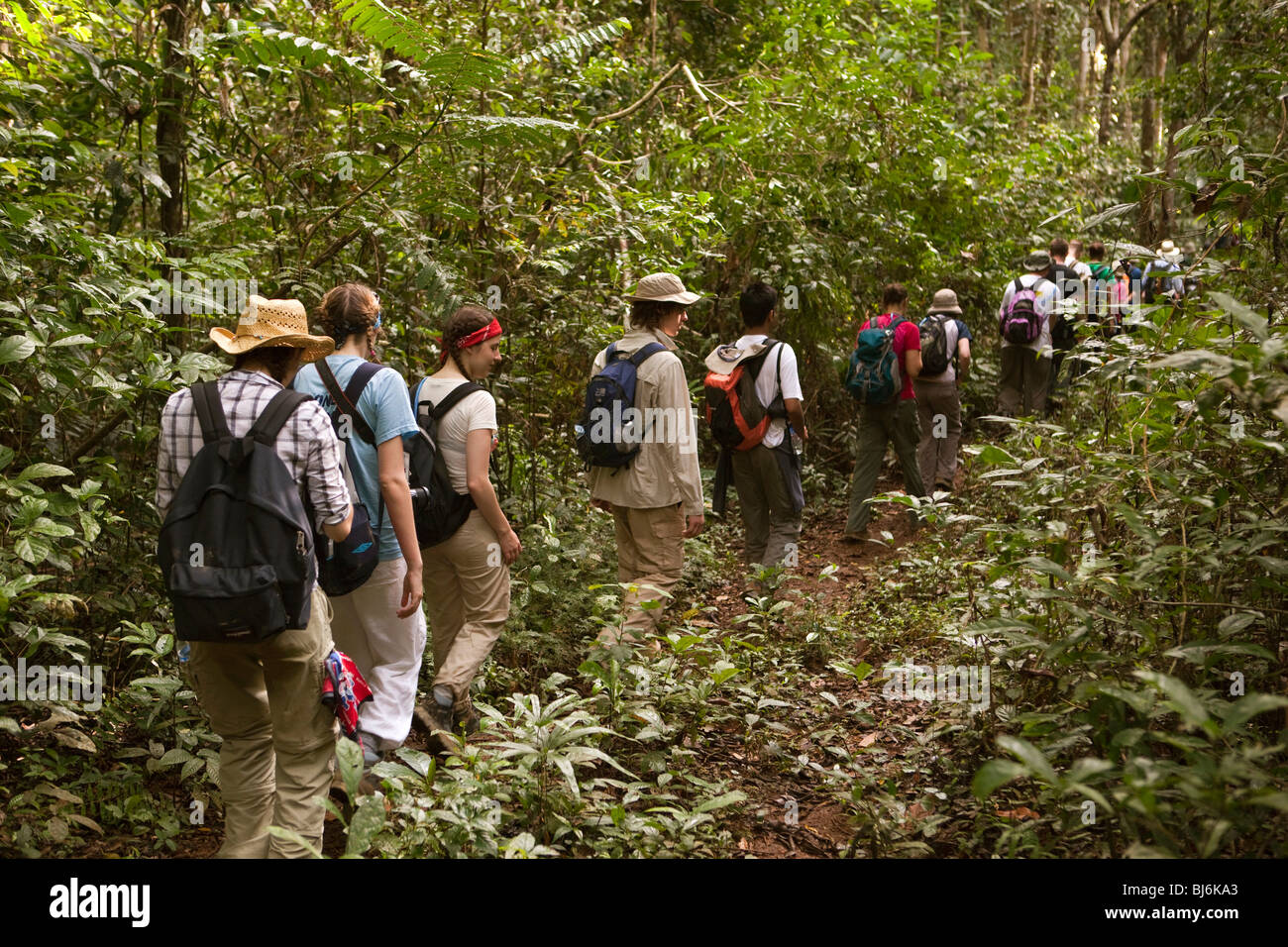 Indonesia, Sulawesi, Operation Wallacea, sixth form students, walking through forest on muddy path Stock Photo