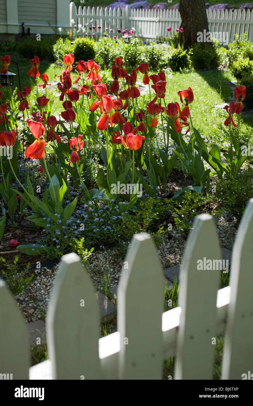 Picket fence surrounds a flowerfilled yard on a sunny spring afternoon