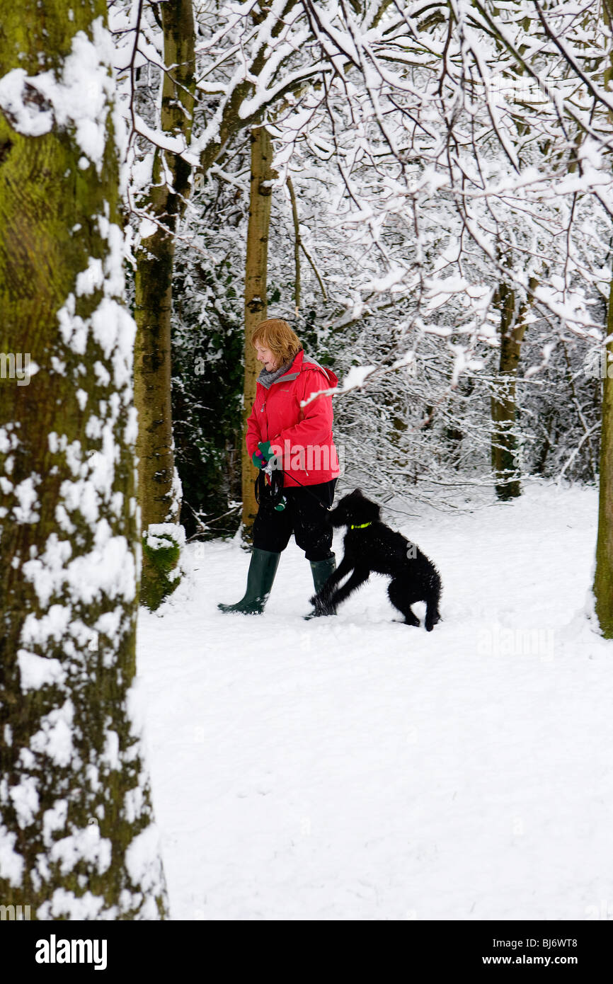 A woman takes her black Labradoodle dog for a walk in the snow through a forest of trees Stock Photo
