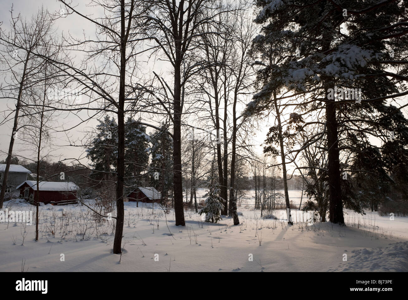 Kottlasjön, Kottla lake, Lidingö (Sweden) Stock Photo