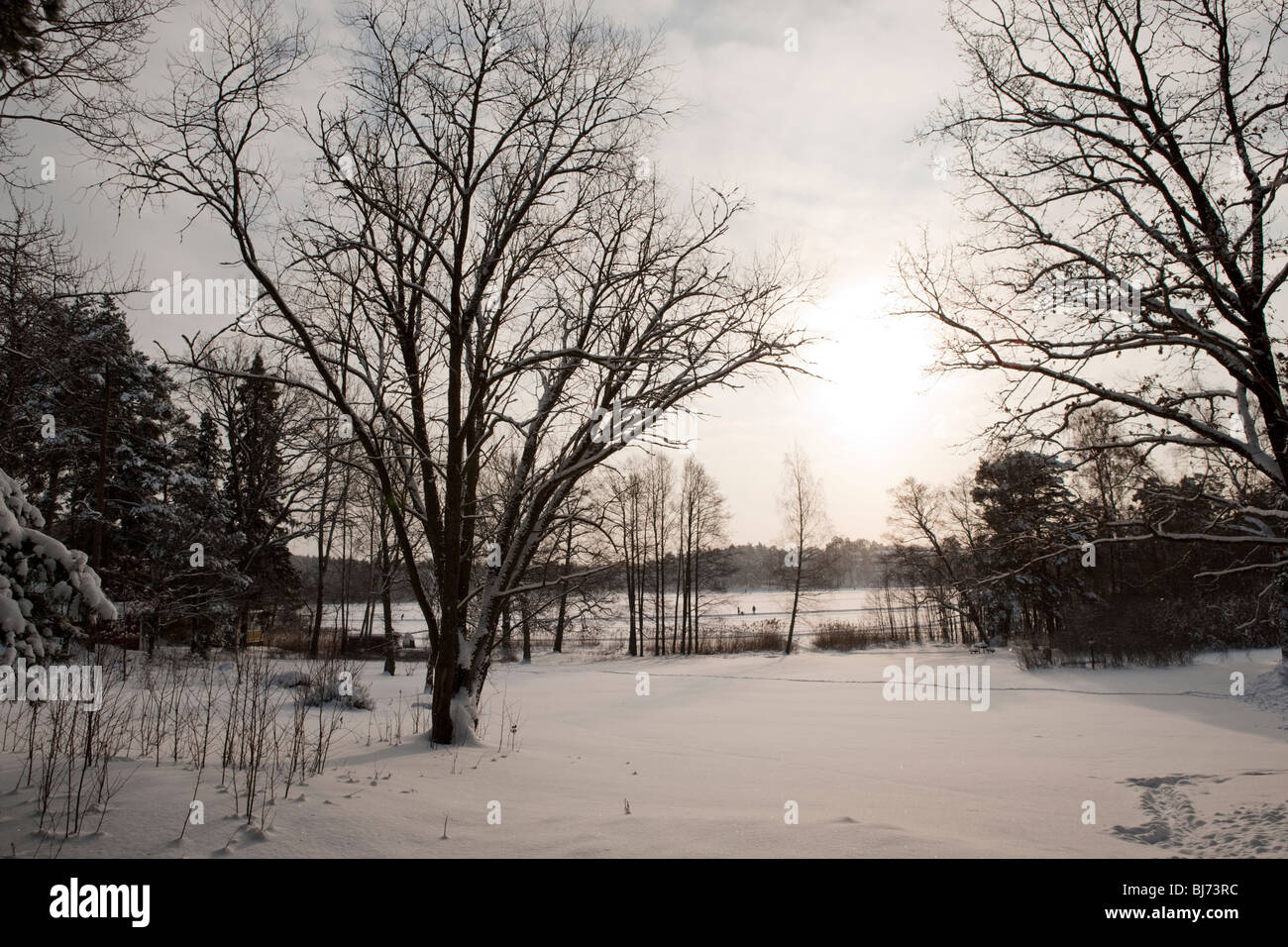 Kottlasjön, Kottla lake, Lidingö (Sweden) Stock Photo