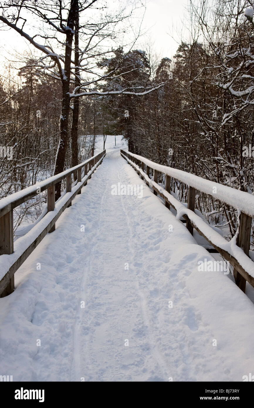 Kottlasjön, Kottla lake, Lidingö (Sweden) Stock Photo