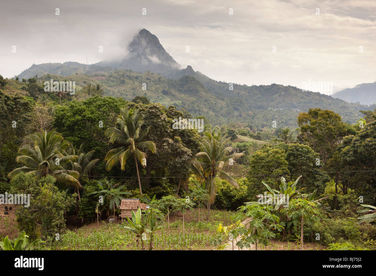 Indonesia, Sulawesi, Tana Toraja, Enrekang, mountainous landscape above cultivated fields Stock Photo