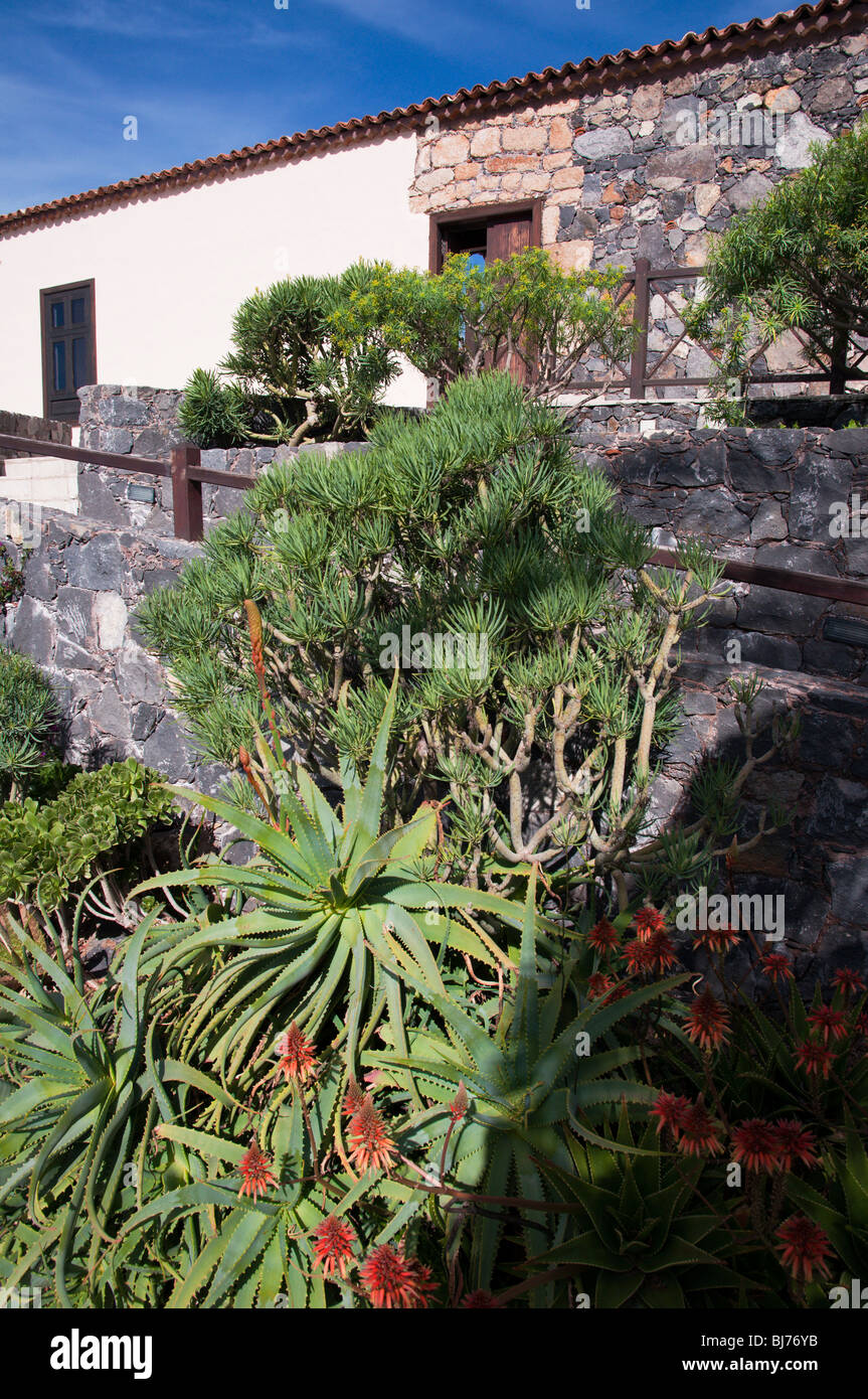 The court yard of the Captain's House Museum (Museo Casa de el Capitan), San Miguel de Abona, Tenerife Stock Photo