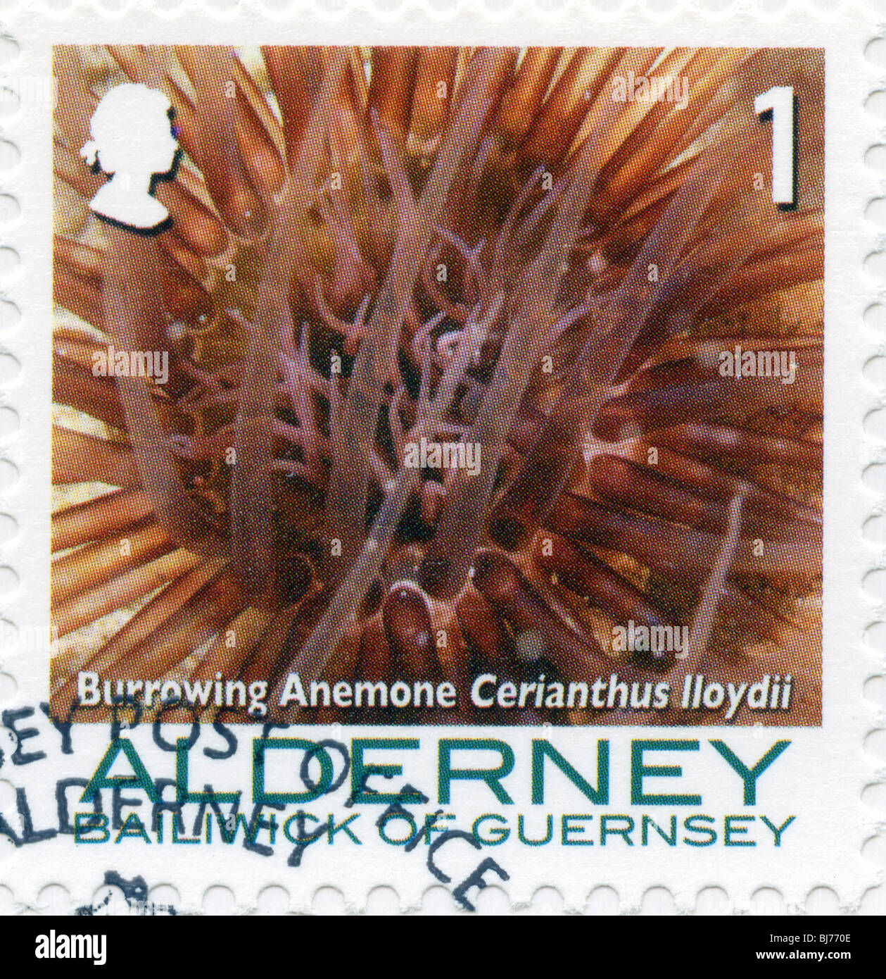 Alderney postage stamp Stock Photo