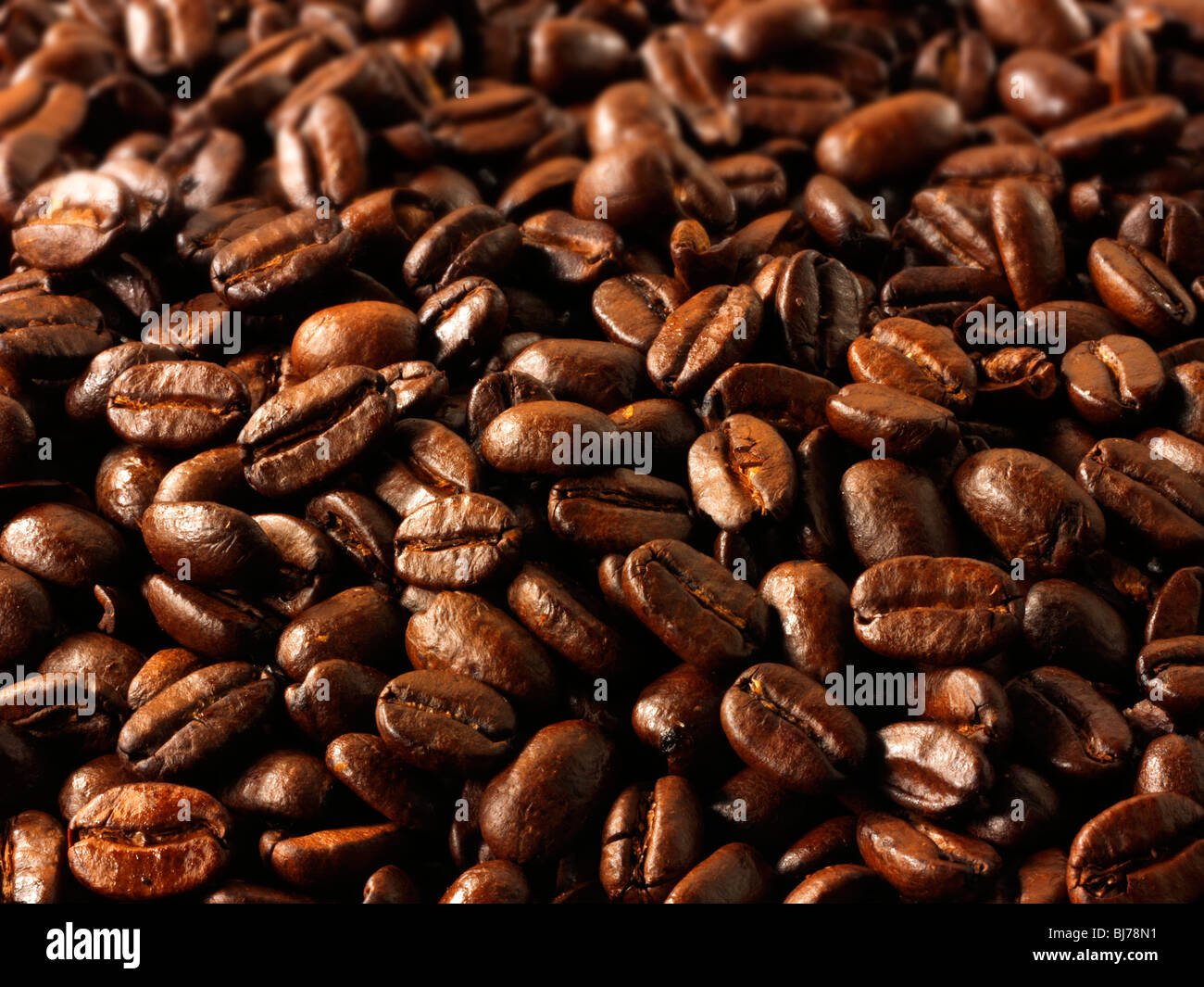 Papua New Guinea fair trade coffee beans stock Photos Stock Photo