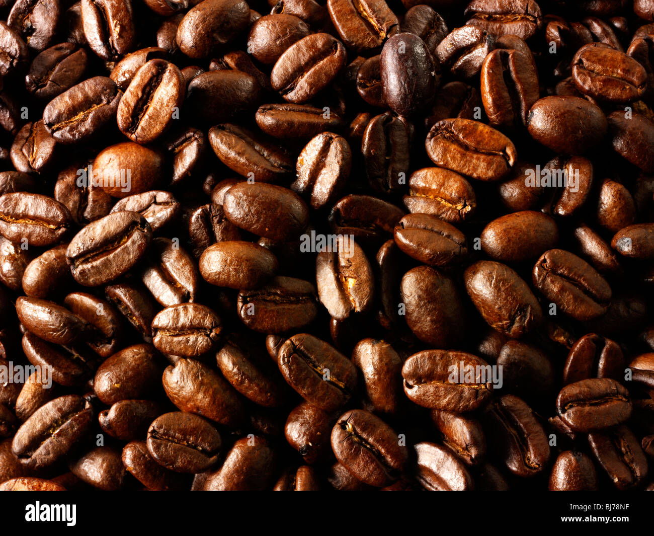 Columbian Fair Trade Coffe beans stock photos Stock Photo