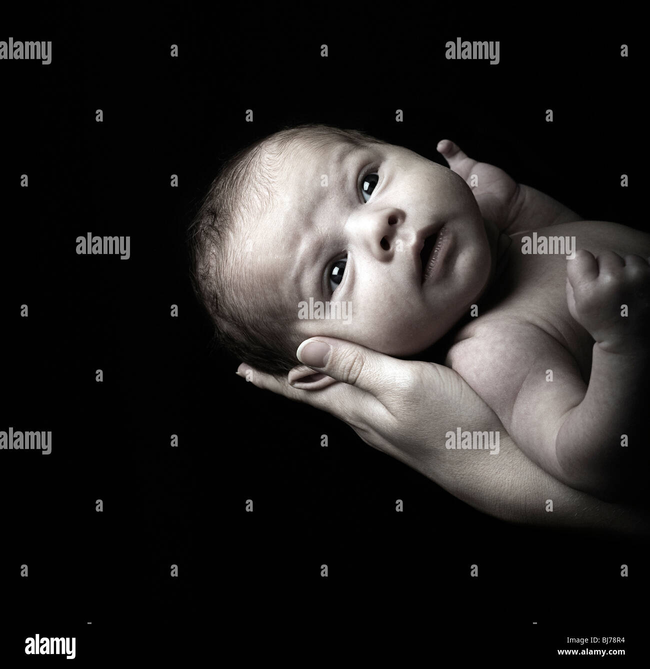 A beautiful new born baby boy Stock Photo