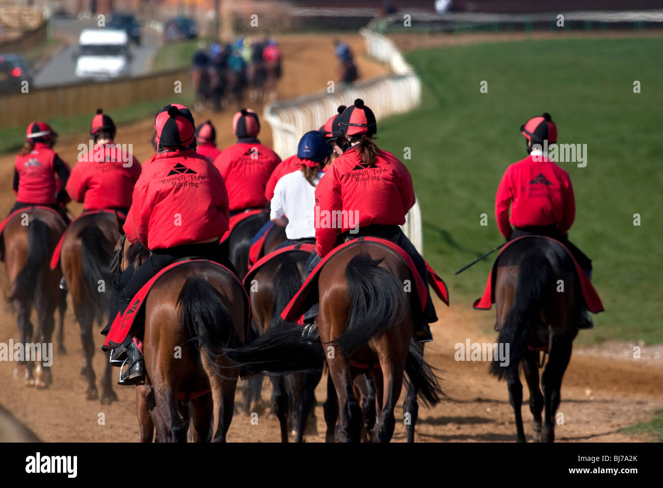 Horses walking out training, Newmarket, Suffolk, England Stock Photo Alamy