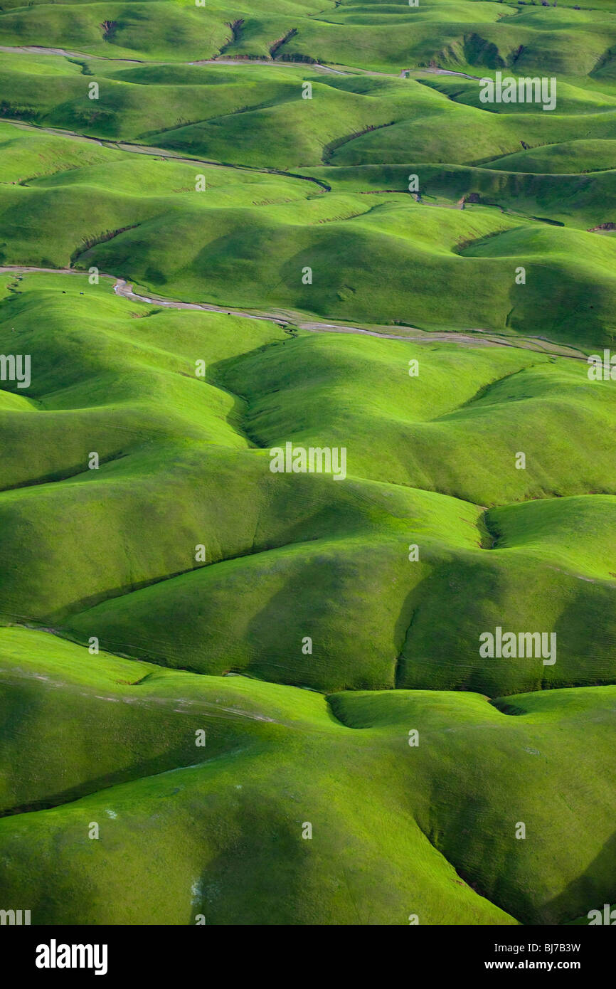 Rolling green hills in northern California in the spring, as seen from the air. Stock Photo