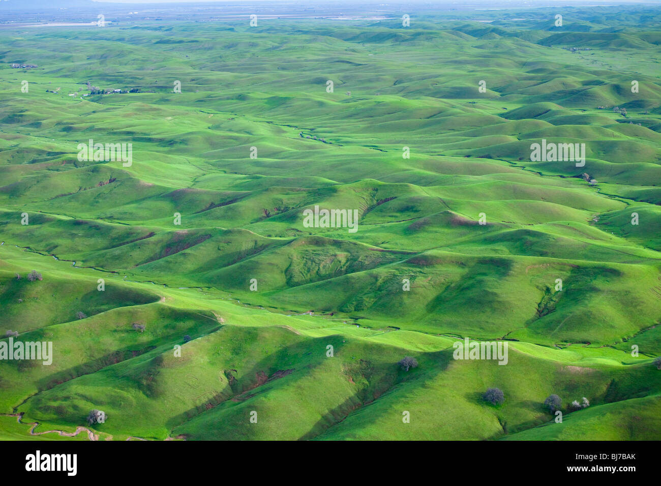 Rolling green hills in northern California in the spring, as seen from the air. Stock Photo