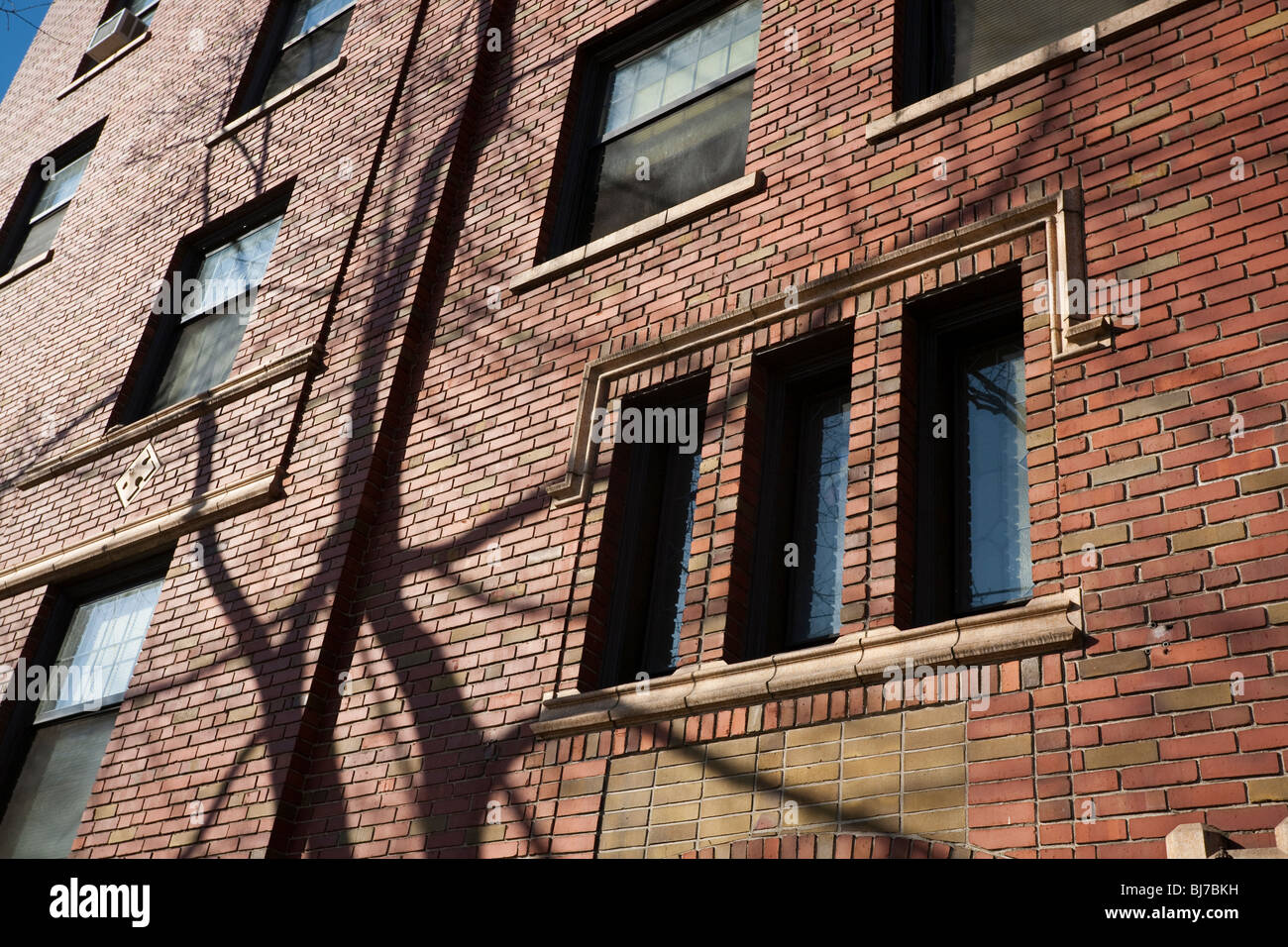 Shadow of a Tree on a Vintage Apartment Building in Capitol Hill