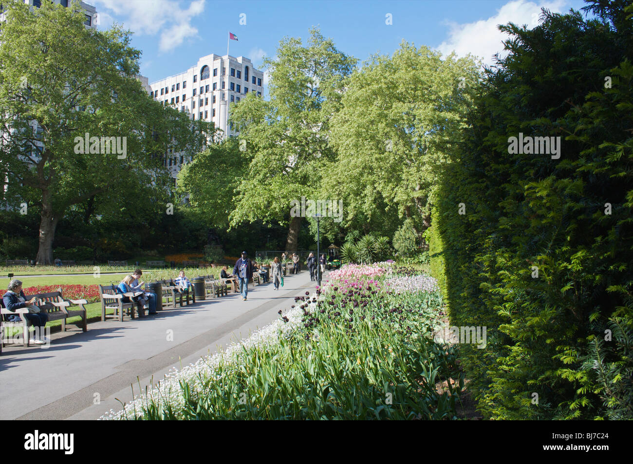 Whitehall gardens London Stock Photo Alamy