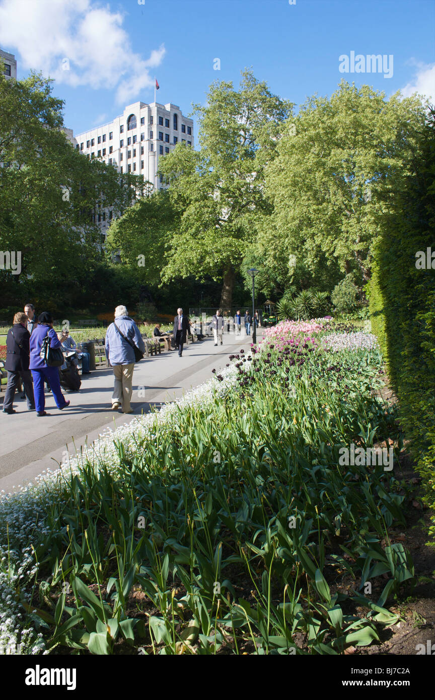 Whitehall gardens London Stock Photo Alamy