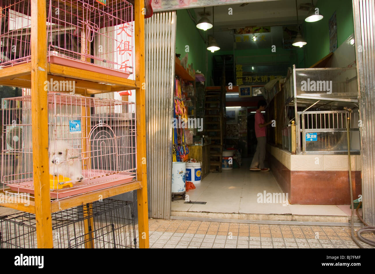 Cartimar top pet supplies