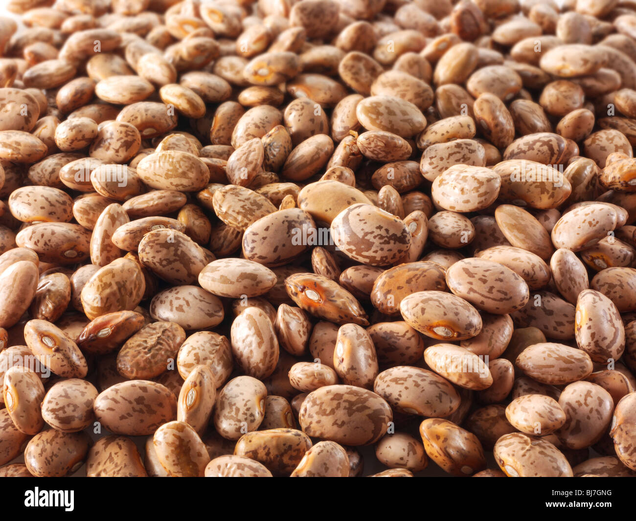 Whole dried red mullet beans, barbunya beans, borlotti beans, cranberry