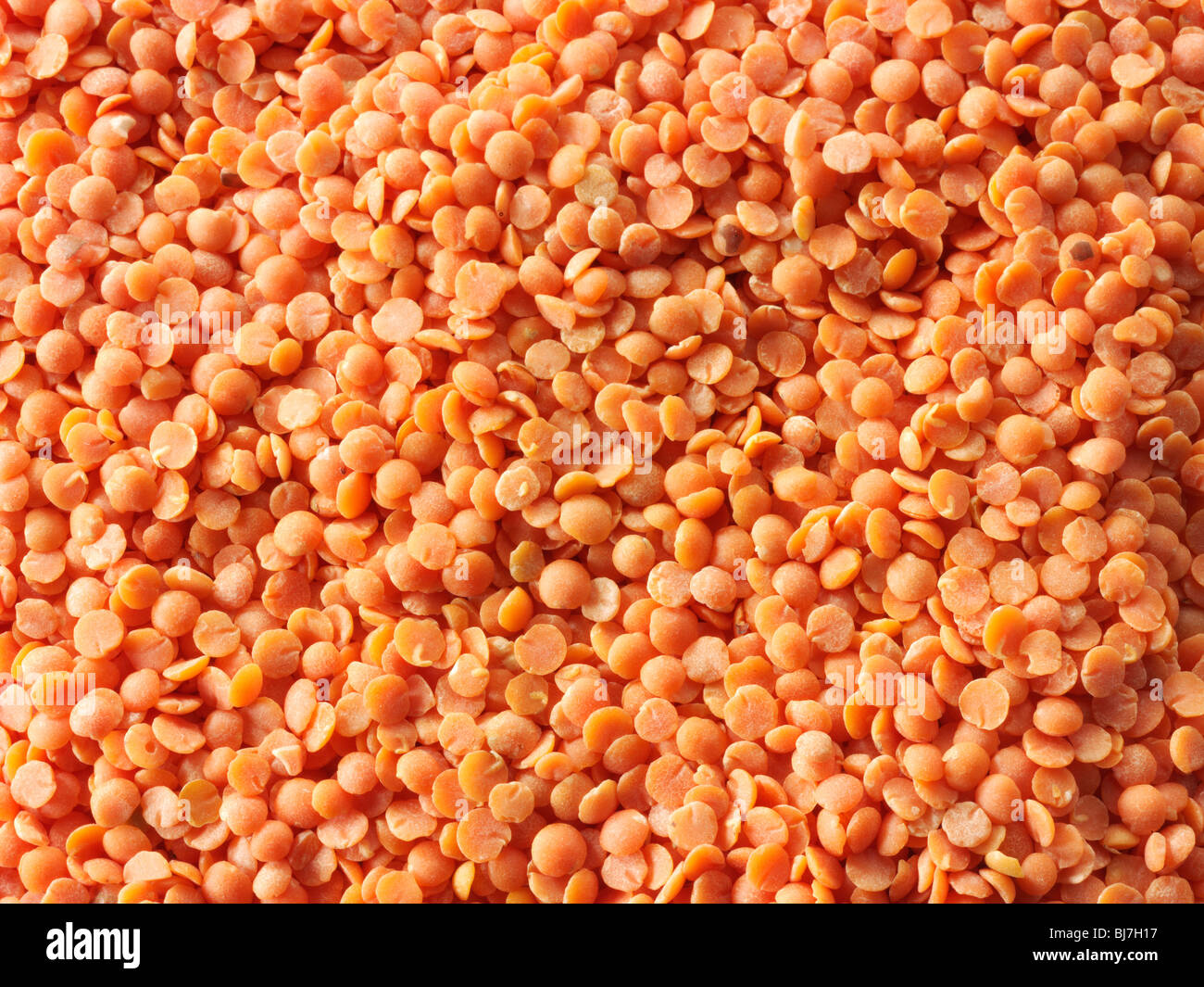 Whole dried orange lentil beans - close up full frame top shot. Stock Photo