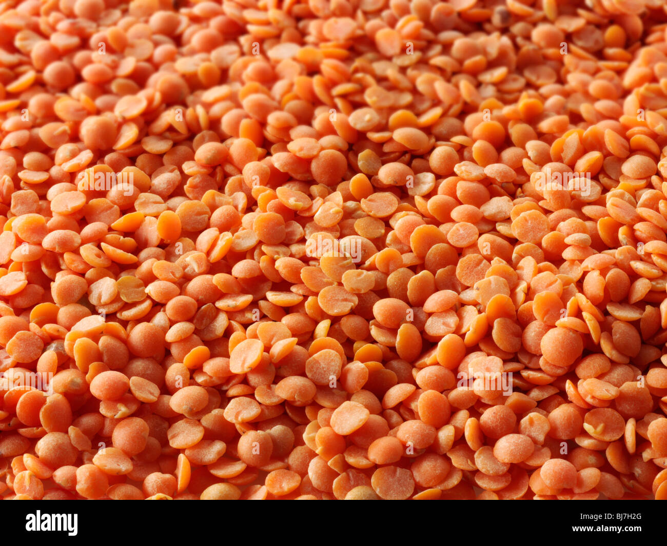 Whole dried orange lentil beans - close up full frame top shot. Stock Photo