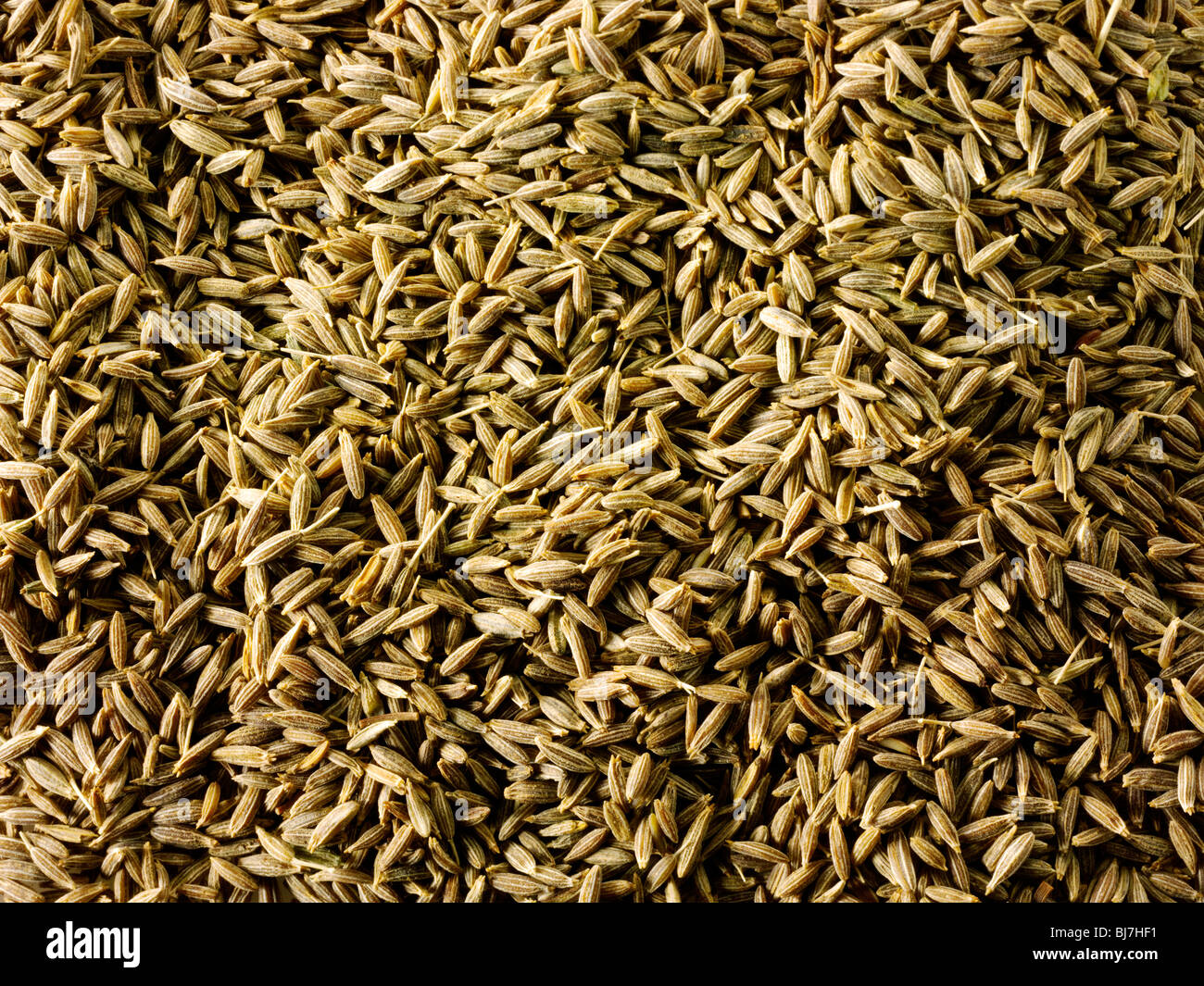 Whole Cumin Seeds, close up full frame Stock Photo