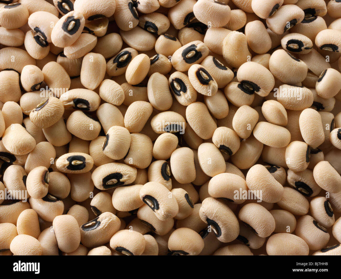 Whole black eyed beans or black eyed pea close up full frame top shot
