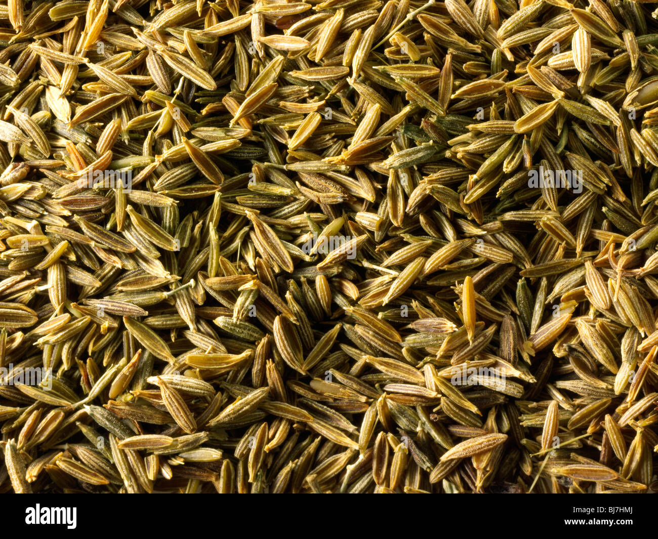 Whole Cumin Seeds, close up full frame Stock Photo Alamy
