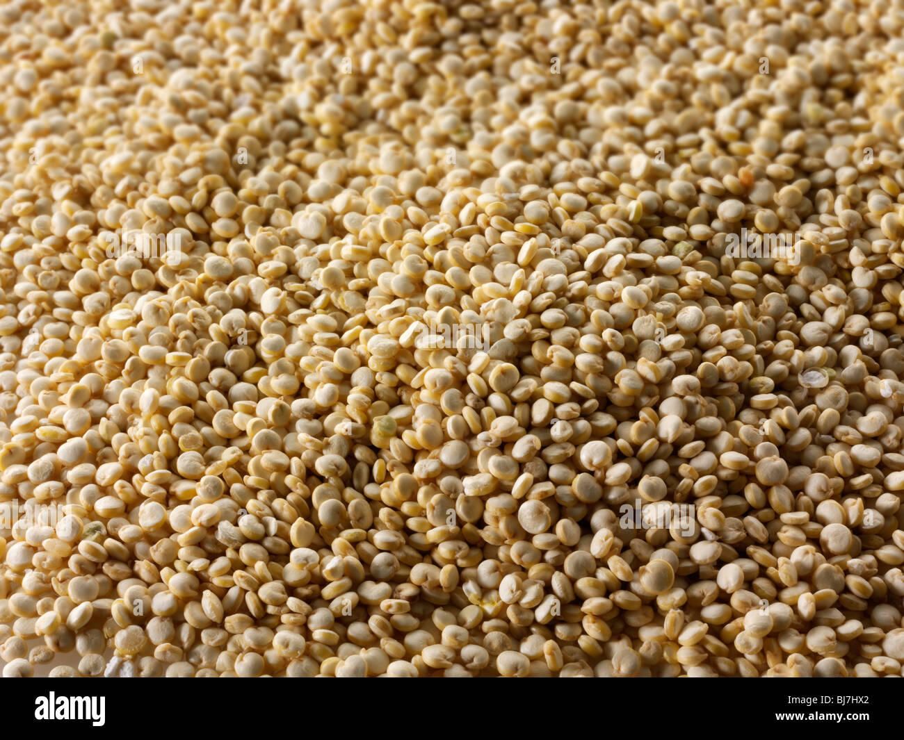 Quinoa grains - Stock Photos Stock Photo