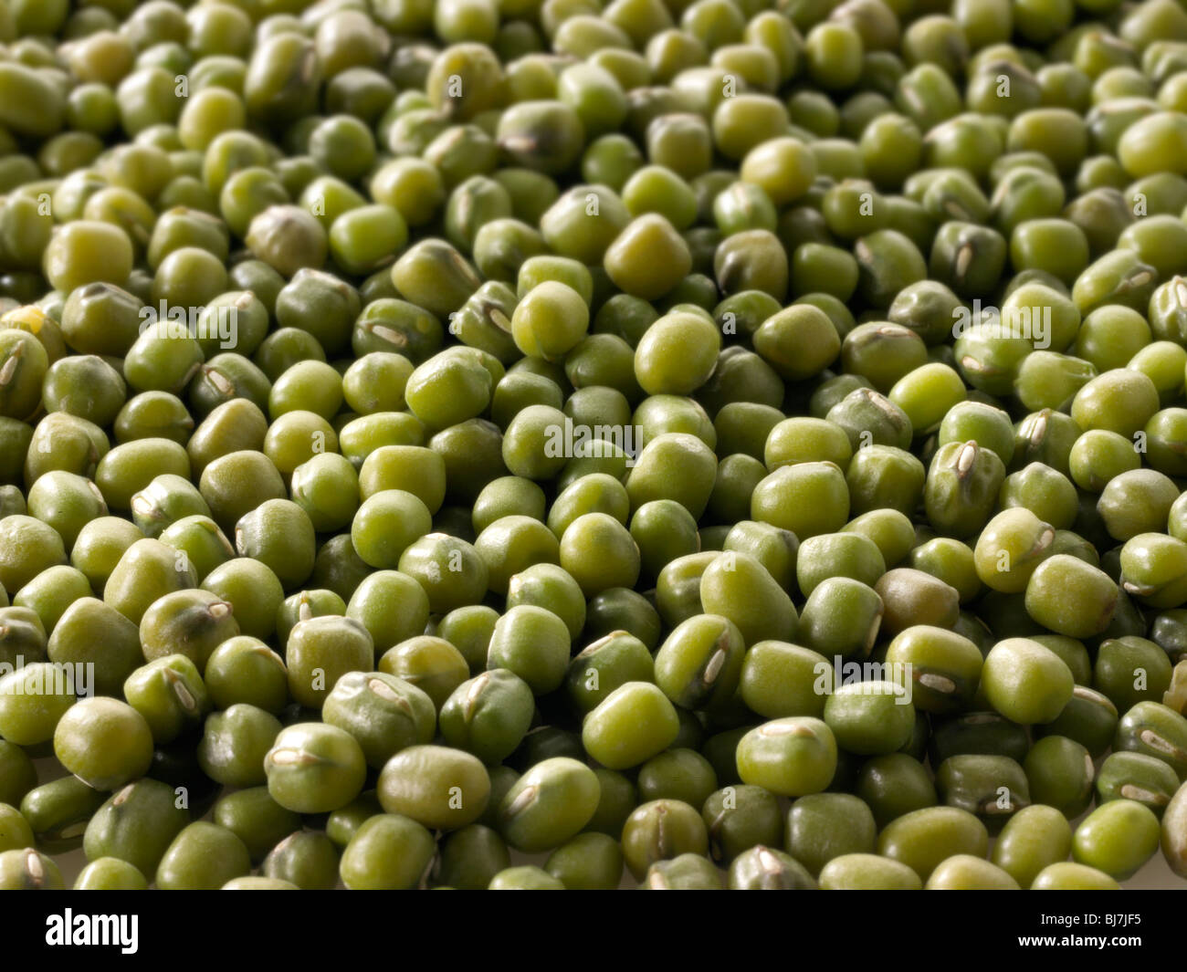 Whole mung beans, or green gram, maash, moong - close up full frame top shot  (Vigna radiata) Stock Photo