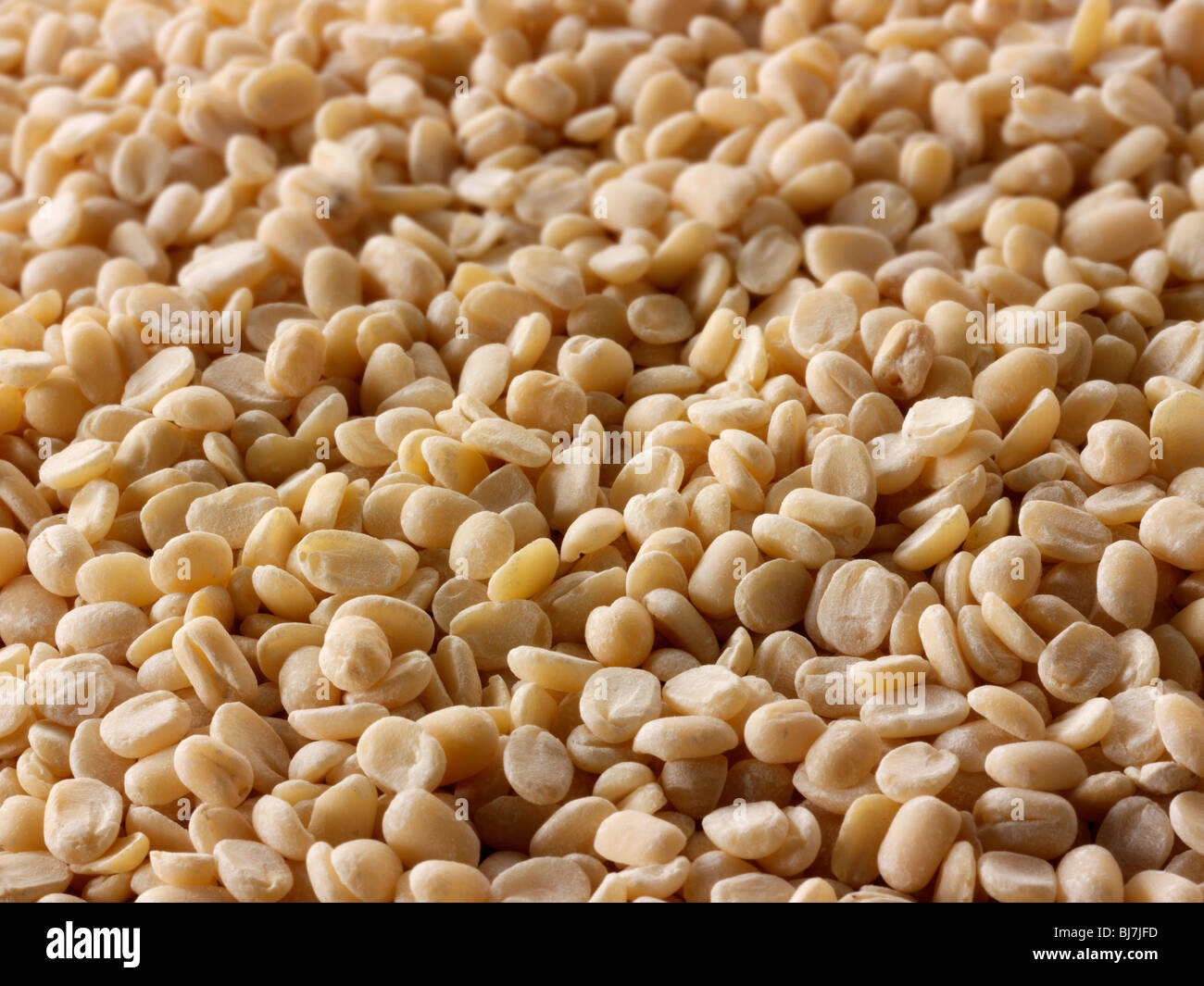 Whole Dried Urid Dahl Urad Dal Udad Dal Urd Bean Urd Urid White Lentil Close Up Full Frame Top Shot Stock Photo Alamy