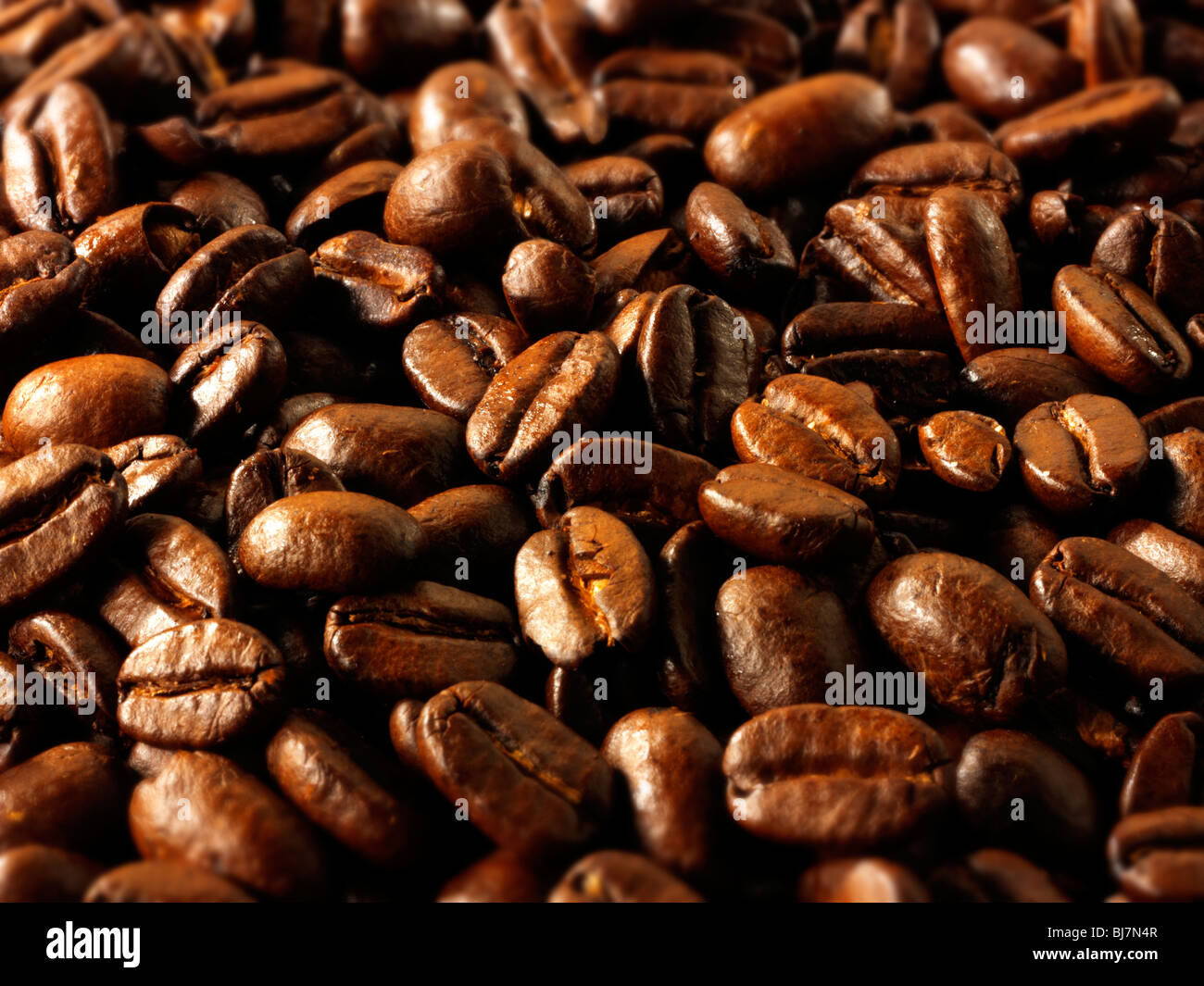 Papua New Guinea fair trade coffee beans stock Photos Stock Photo